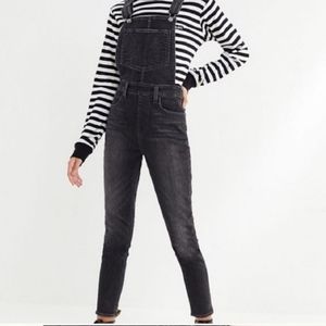 Levi's Premium Overall Skinny 29